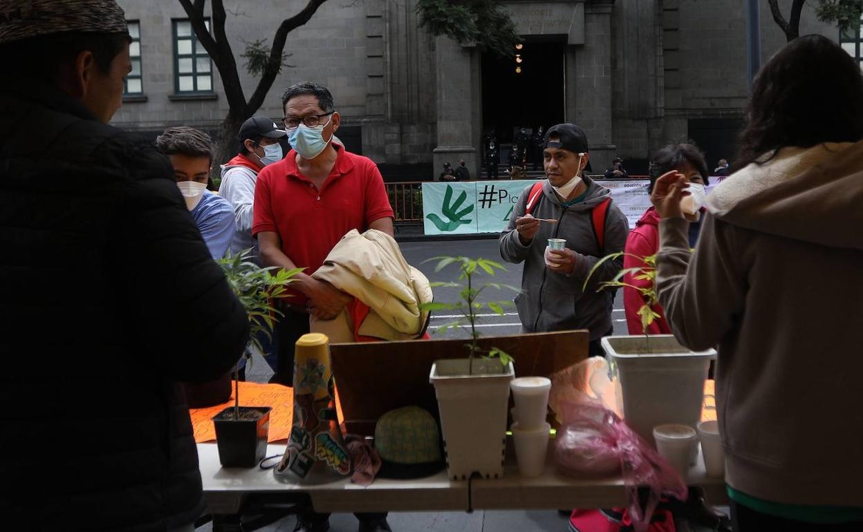 Activistas del Movimiento Cannábico Mexicano concentrados ante la Corte Suprema.