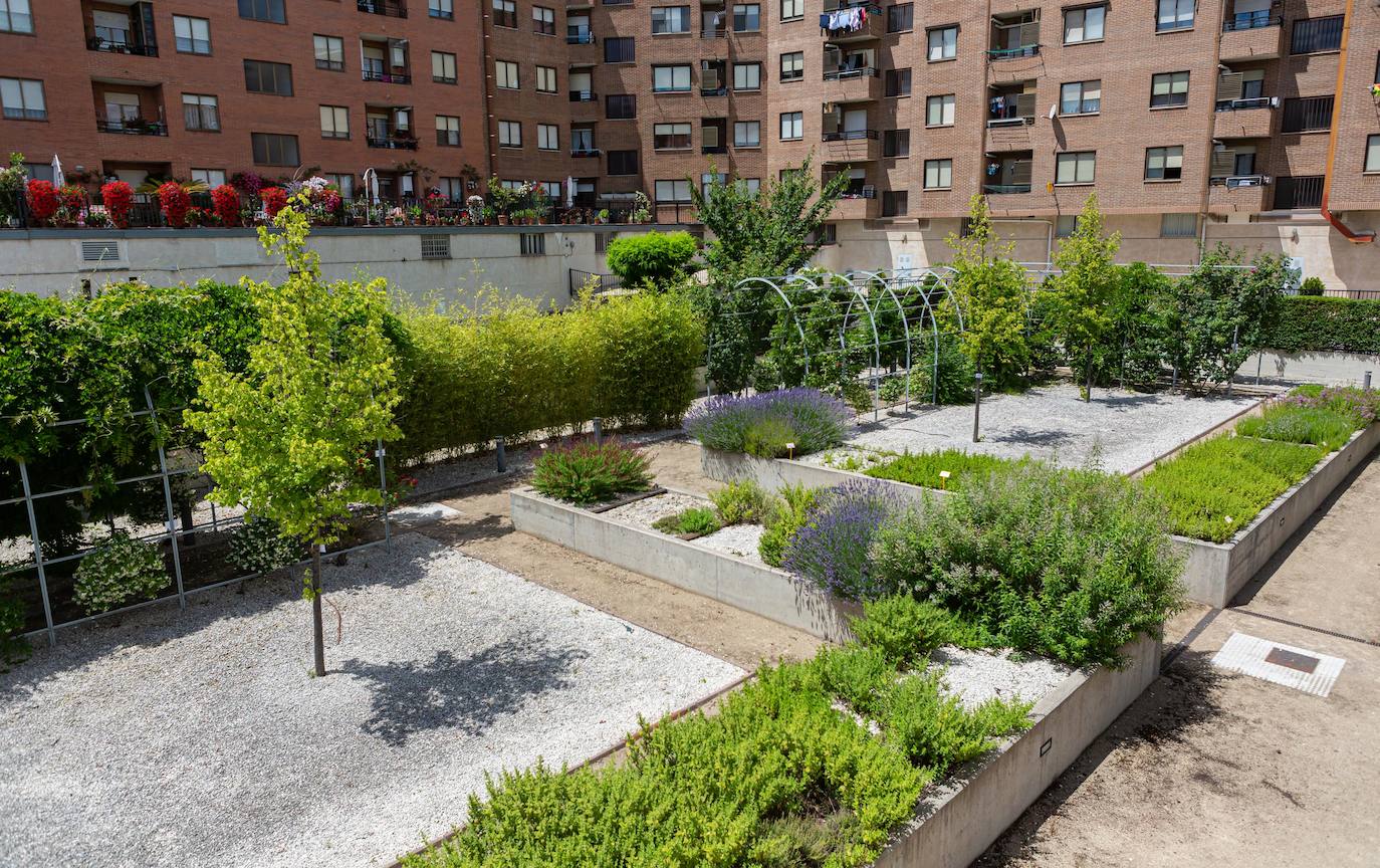 Fotos: El jardín de los sentidos de la ONCE