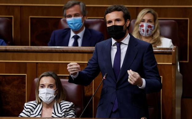 El líder del PP, Pablo Casado, durante la sesión de control del Congreso 