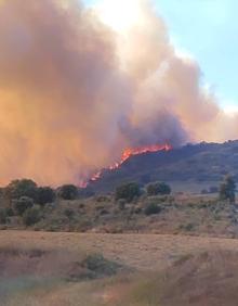 Imagen secundaria 2 - El primer gran incendio de la temporada en La Rioja quema hasta el momento 200 hectáreas de las laderas del Monte Yerga