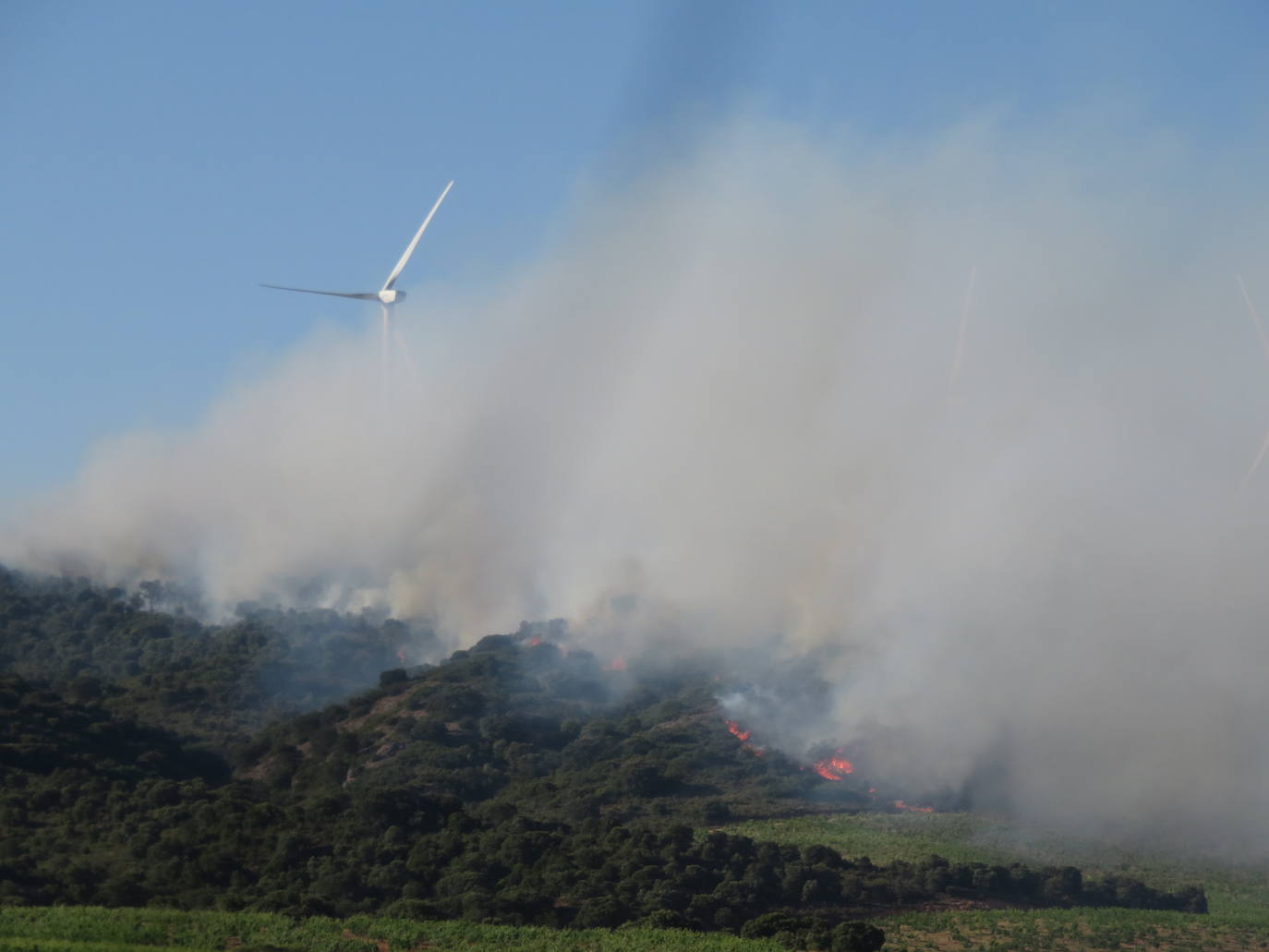 Fotos: El incendio de Yerga