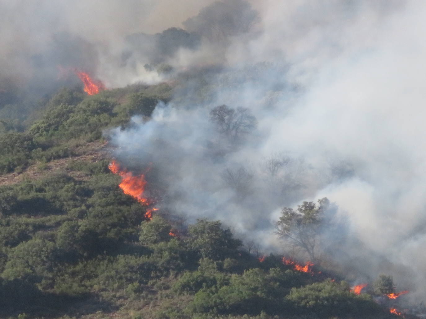 Fotos: El incendio de Yerga