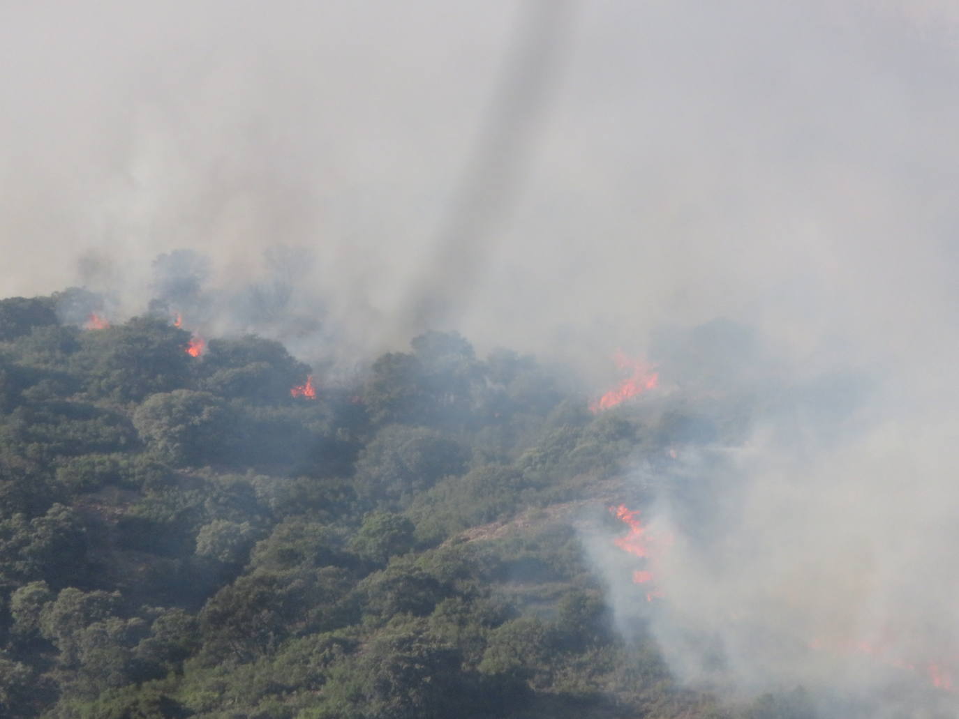 Fotos: El incendio de Yerga