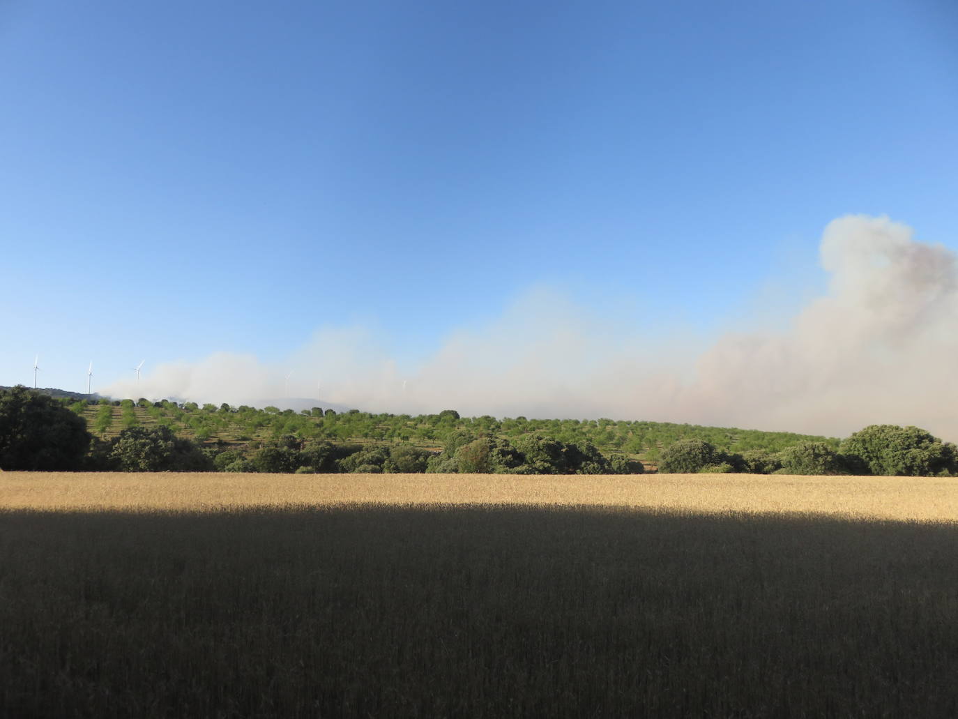 Fotos: El incendio de Yerga