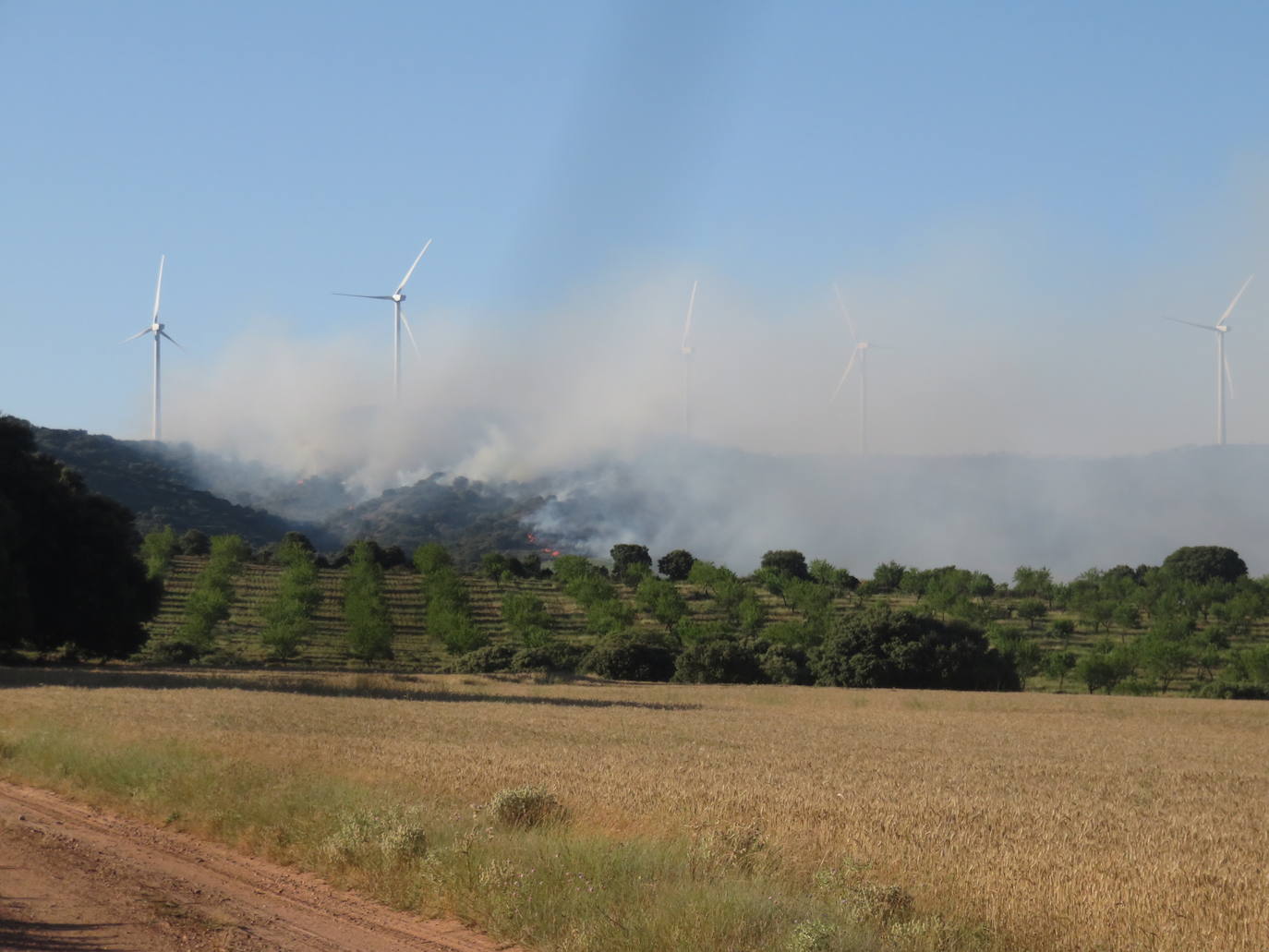 Fotos: El incendio de Yerga