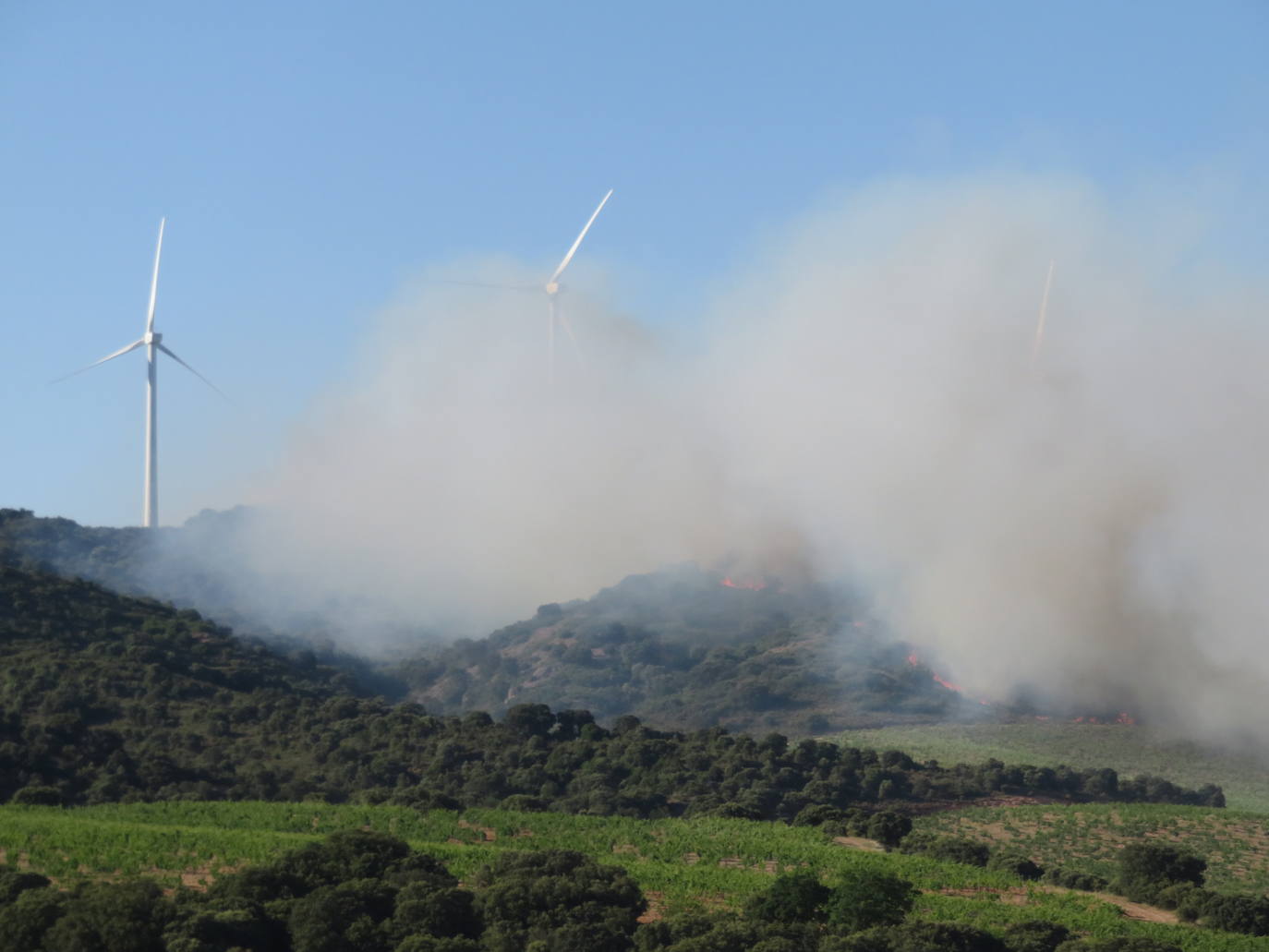 Fotos: El incendio de Yerga