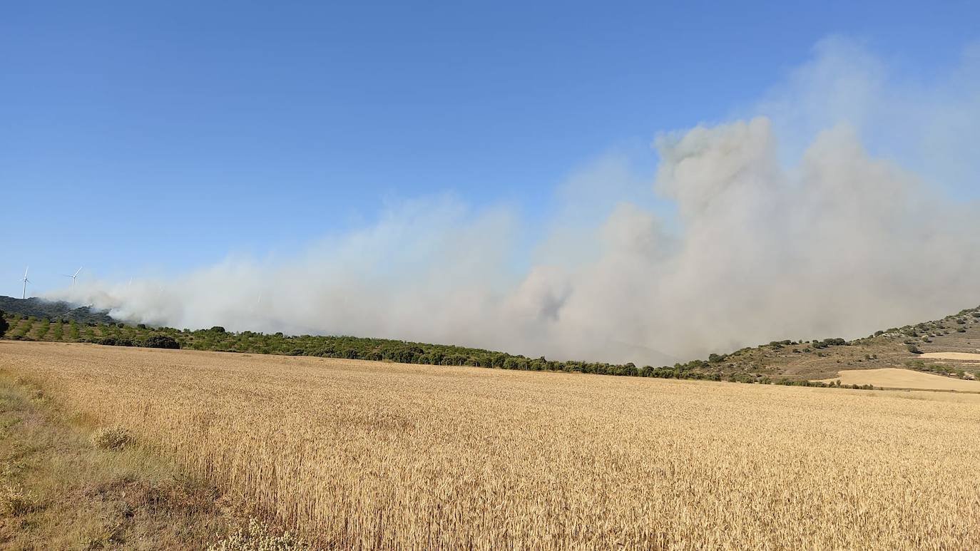 Incendio en Yerga: una columna que se ve desde kilómetros