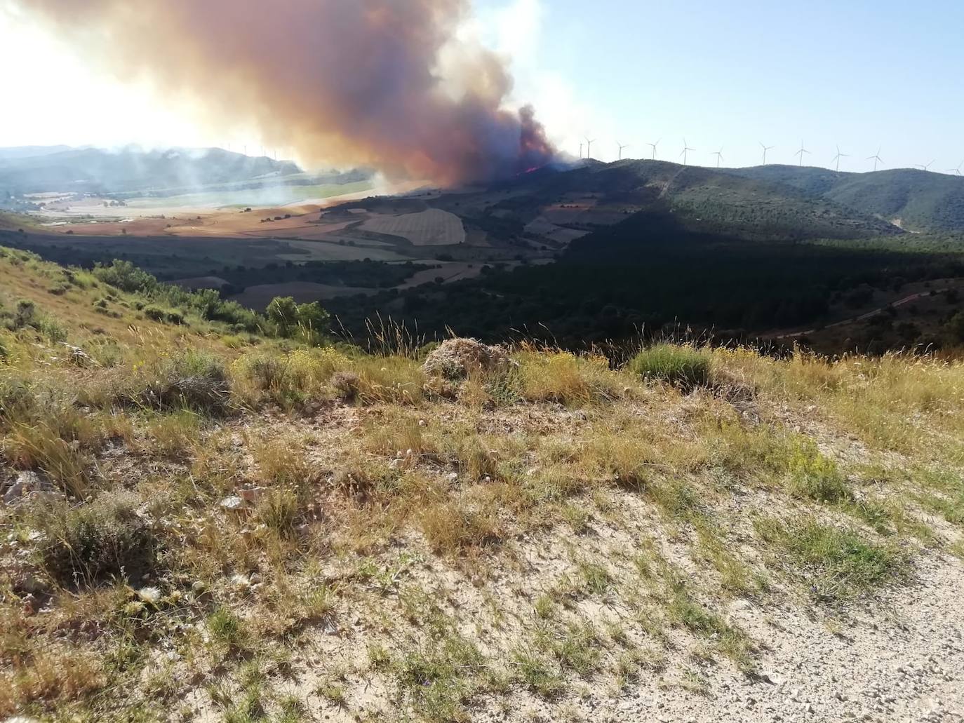 Incendio en Yerga: una columna que se ve desde kilómetros