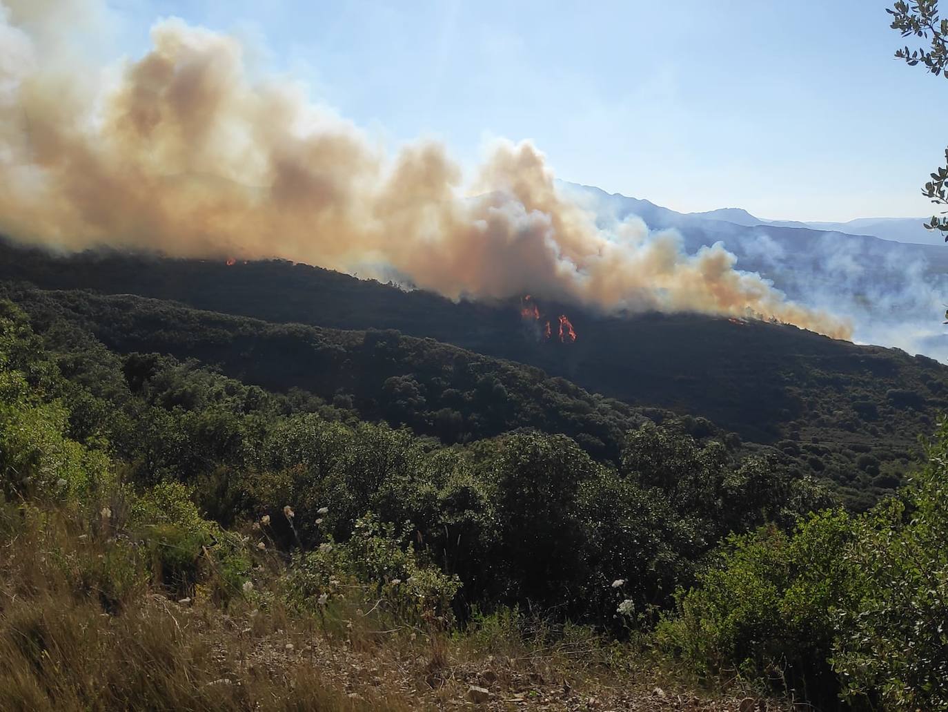 Incendio en Yerga: una columna que se ve desde kilómetros