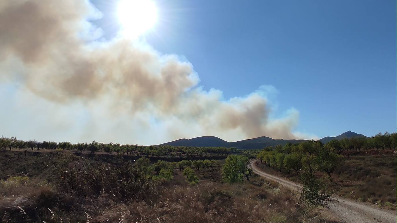 Incendio en Yerga: una columna que se ve desde kilómetros