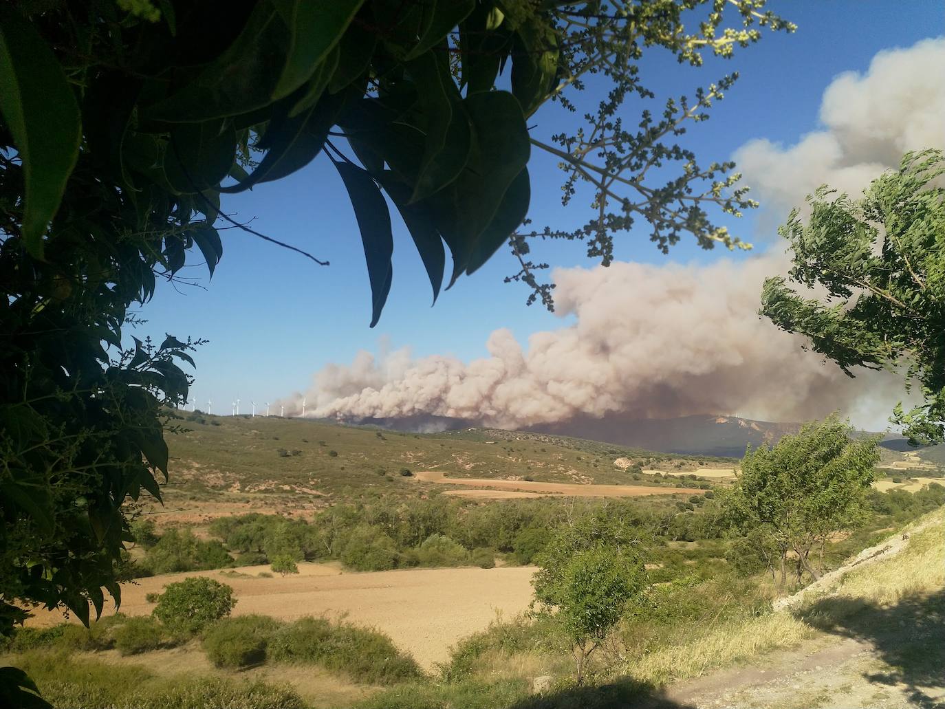 Incendio en Yerga: una columna que se ve desde kilómetros