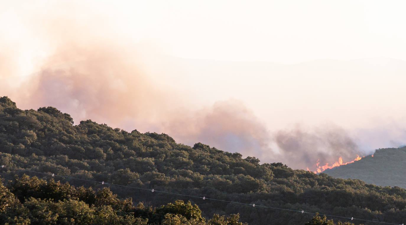 Fotos: La Rioja pide el despliegue de varios helicópteros, aviones e hidroaviones para la extinción del incendio en el Yerga