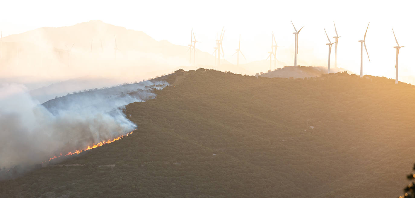 Fotos: La Rioja pide el despliegue de varios helicópteros, aviones e hidroaviones para la extinción del incendio en el Yerga