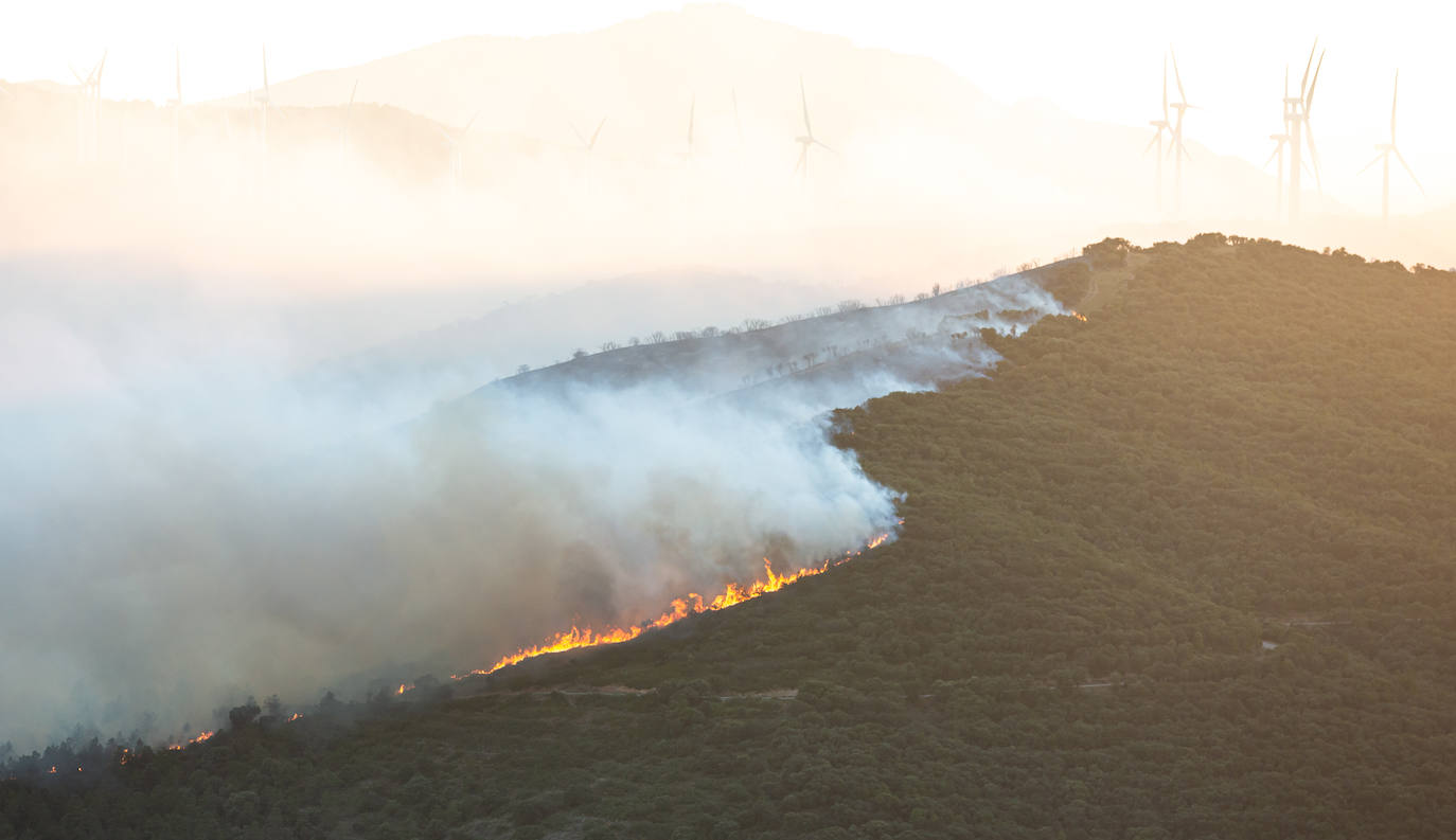 Fotos: La Rioja pide el despliegue de varios helicópteros, aviones e hidroaviones para la extinción del incendio en el Yerga