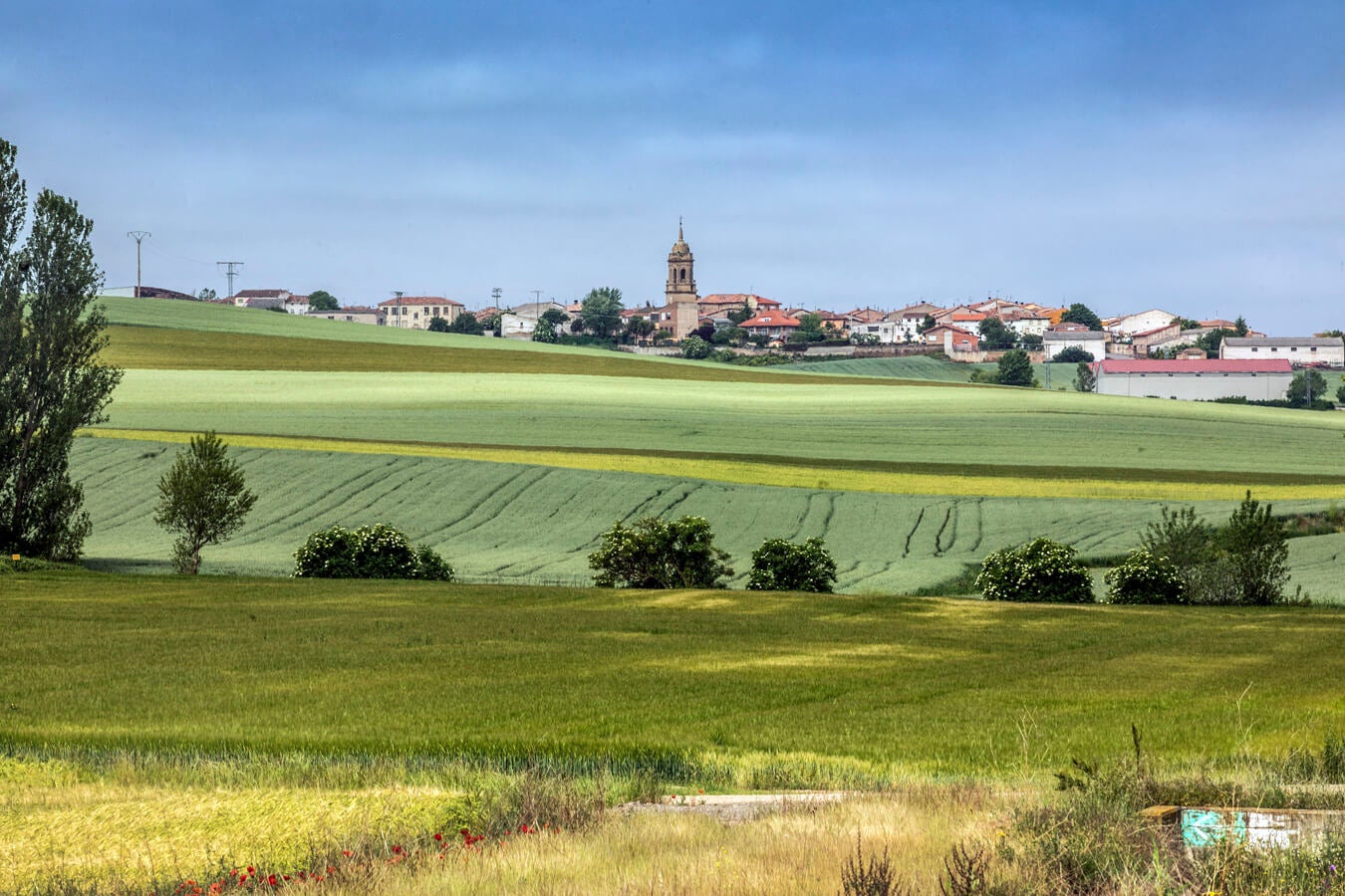 Fotos: Tercera etapa del Camino de Santiago: de Santo Domingo a Grañón