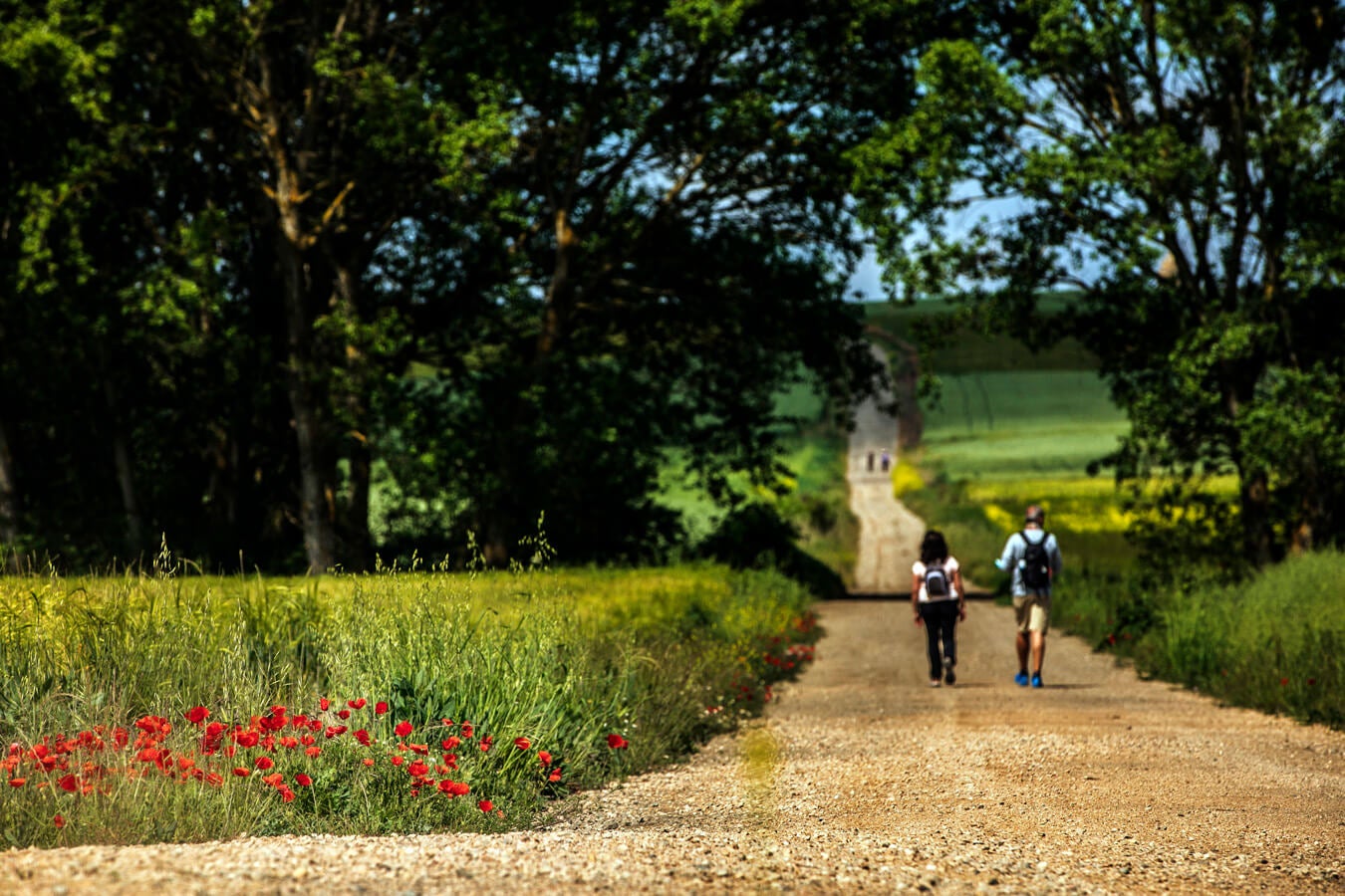 Fotos: Tercera etapa del Camino de Santiago: de Santo Domingo a Grañón