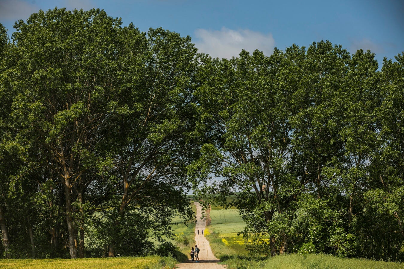 Fotos: Tercera etapa del Camino de Santiago: de Santo Domingo a Grañón