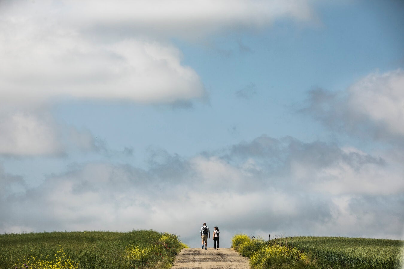 Fotos: Tercera etapa del Camino de Santiago: de Santo Domingo a Grañón