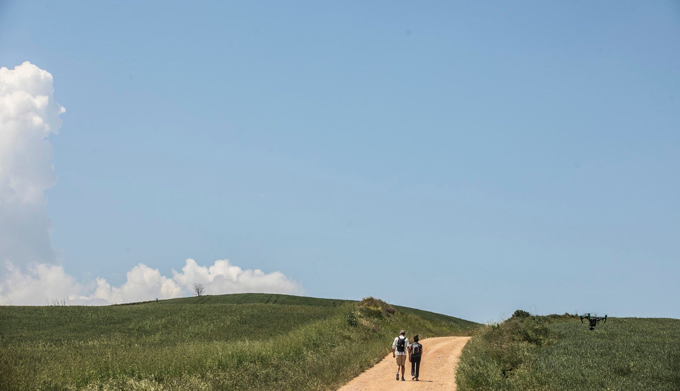 Fotos: Segunda etapa del Camino de Santiago: almazuela de olores y de colores