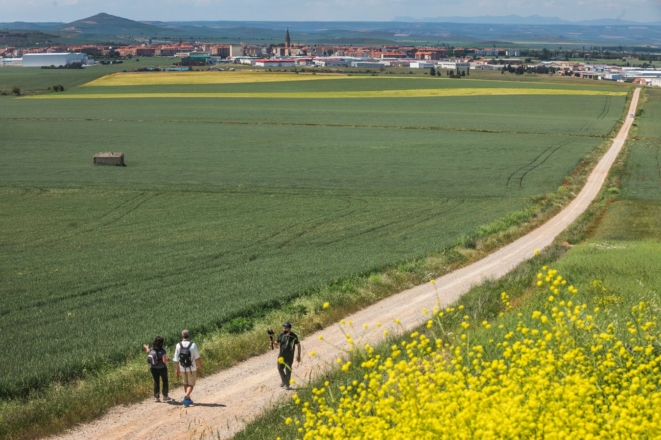 Fotos: Segunda etapa del Camino de Santiago: almazuela de olores y de colores