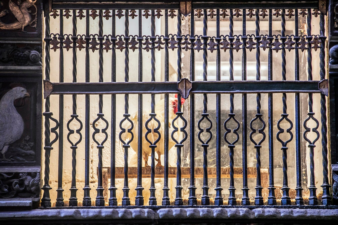 Fotos: Segunda etapa del Camino de Santiago: almazuela de olores y de colores