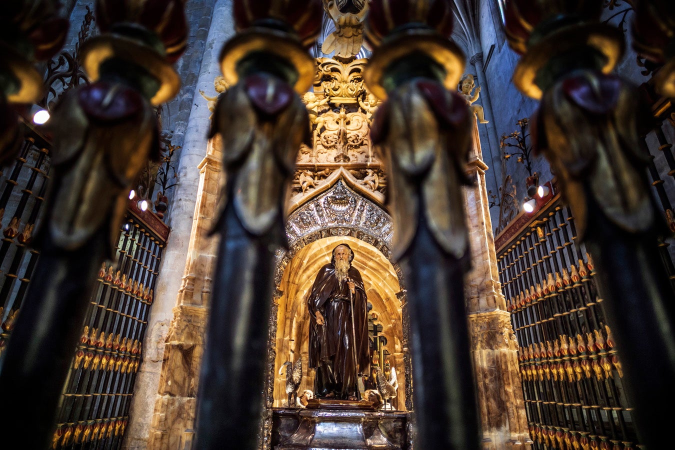 Fotos: Segunda etapa del Camino de Santiago: almazuela de olores y de colores