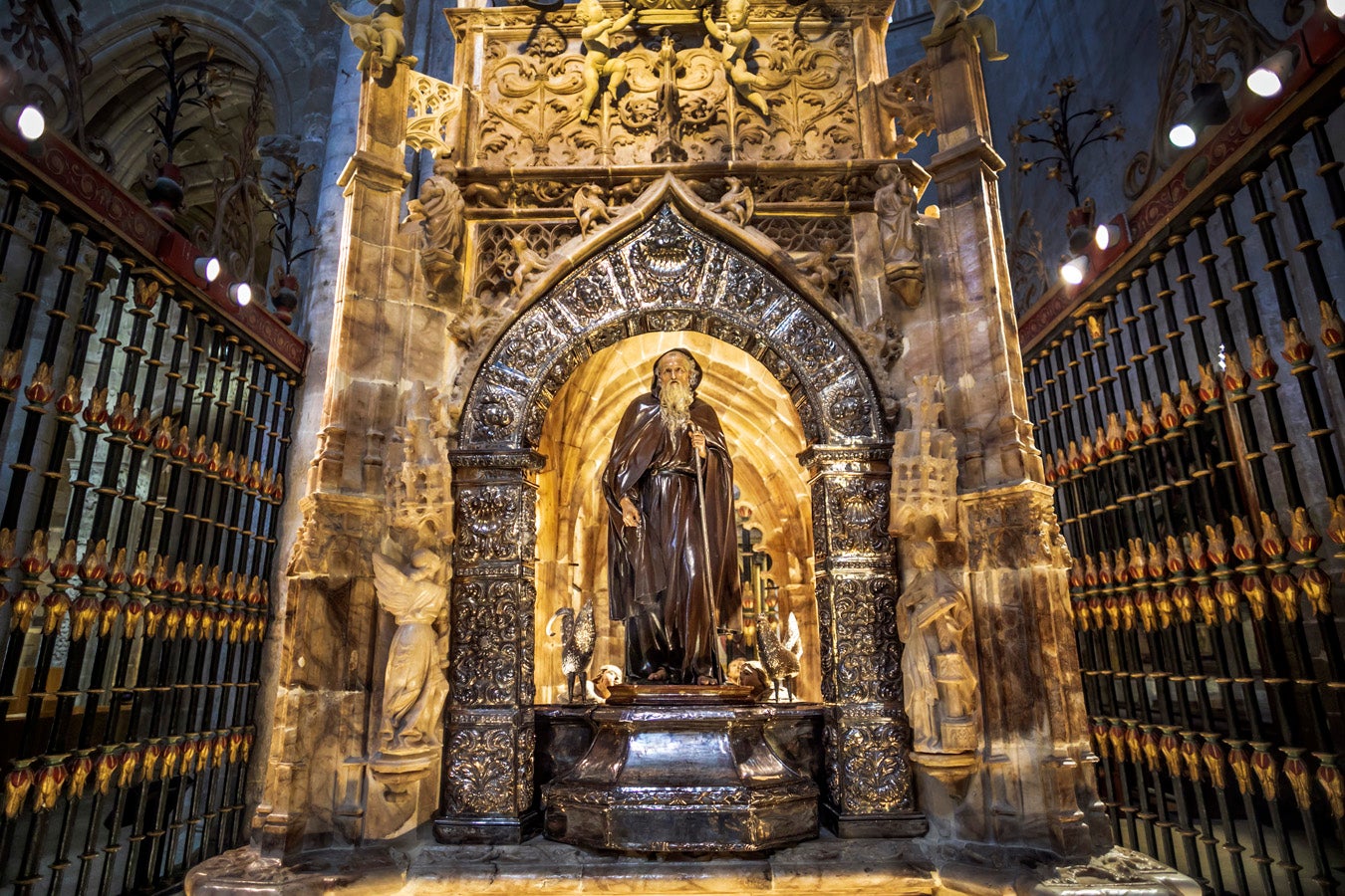 Fotos: Segunda etapa del Camino de Santiago: almazuela de olores y de colores