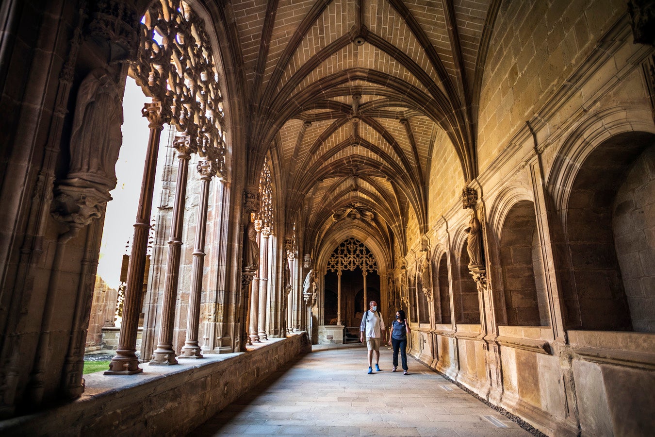 Fotos: Segunda etapa del Camino de Santiago: almazuela de olores y de colores