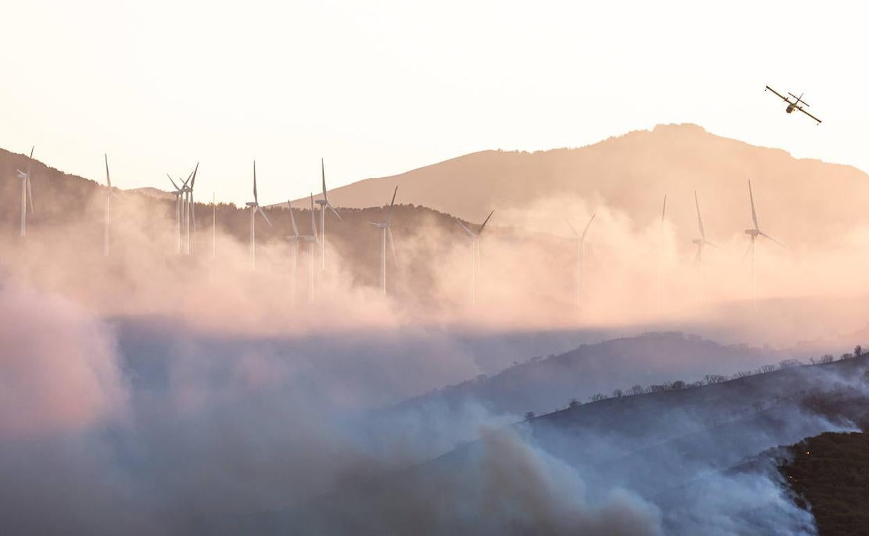 El Gobierno da por extinguido el incendio de Yerga