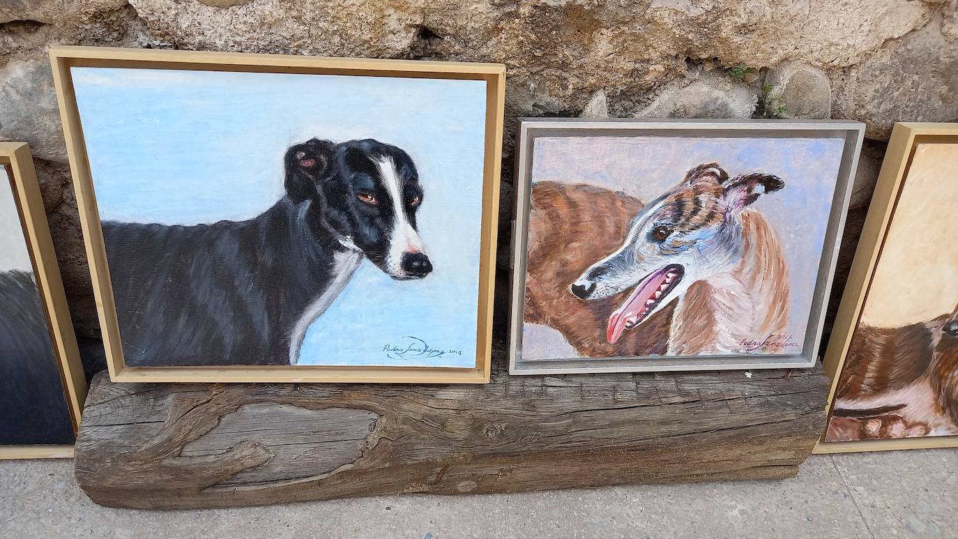 Fotos: Jornadas del Noble Galgo Cervantino