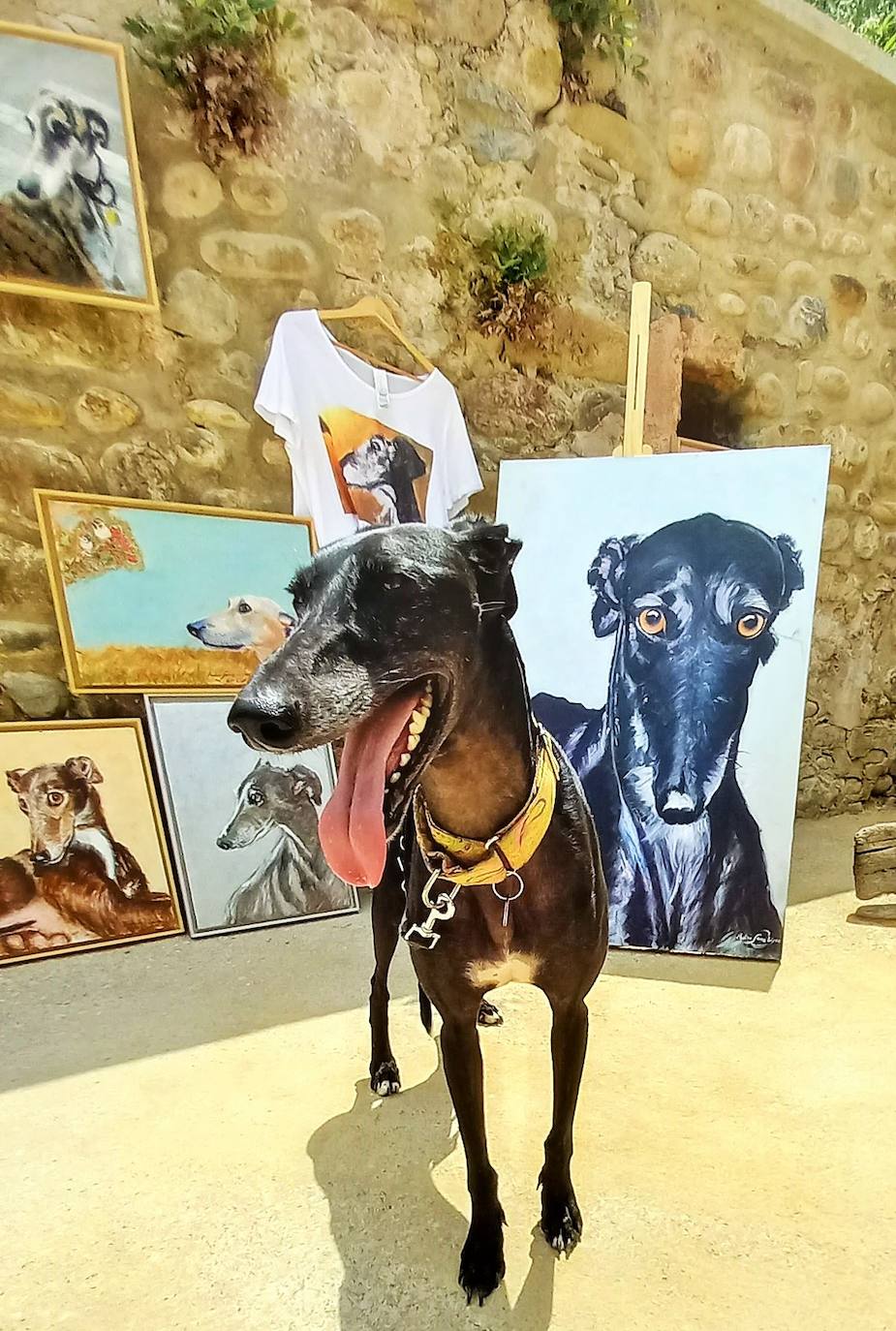 Fotos: Jornadas del Noble Galgo Cervantino