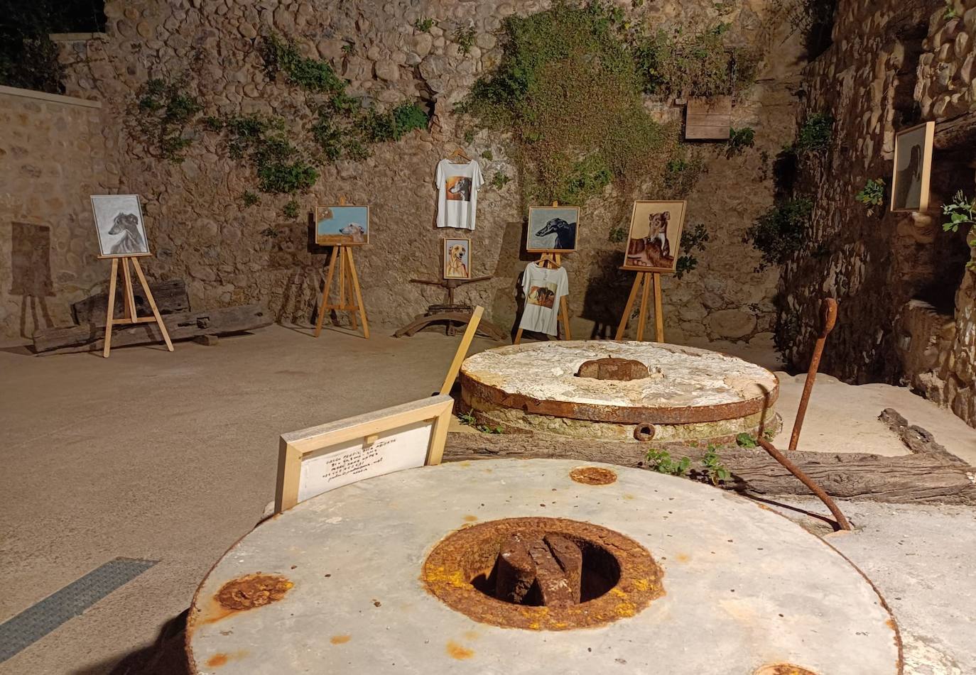 Fotos: Jornadas del Noble Galgo Cervantino