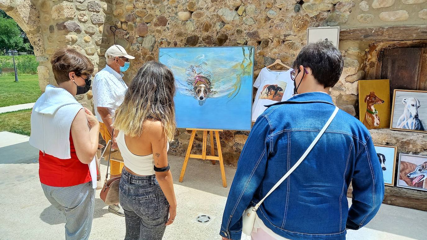 Fotos: Jornadas del Noble Galgo Cervantino