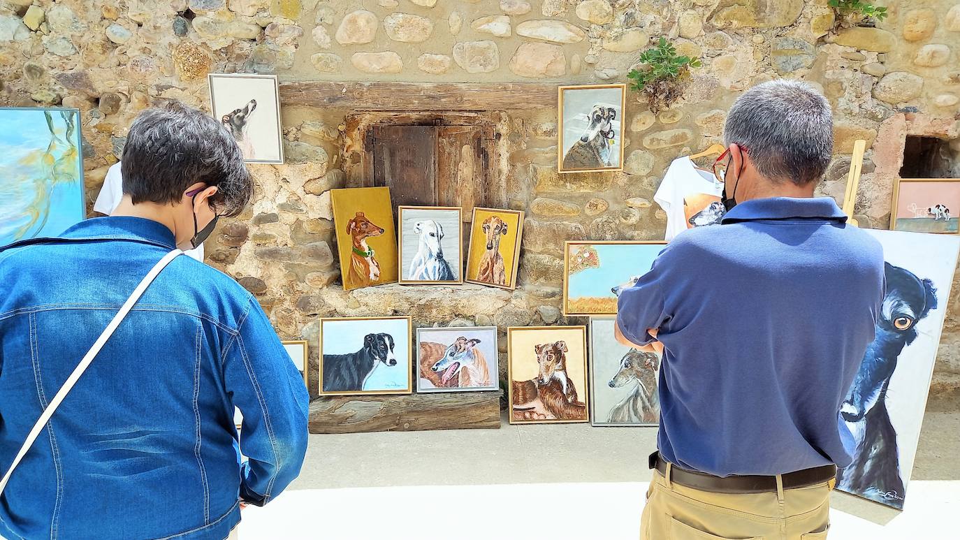 Fotos: Jornadas del Noble Galgo Cervantino