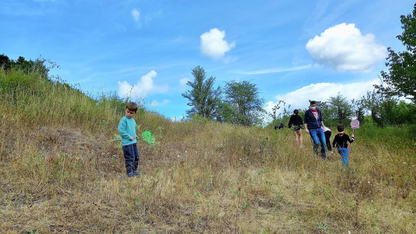 La Asociación Benéfico Cultural de Nieva de Cameros y la Asociación por el Medio Ambiente Rural en La Rioja han celebrado dos jornadas con el título 'Conociendo las mariposas'. Primero se celebró una en la aldea Montemediano, donde se lograron identificar fácilmente diecinueve especies el pasado 18 de julio, y después, el domingo 1 de agosto, se catalogaron una veintena de mariposas en Nieva, algunas tan singulares como la tigre.