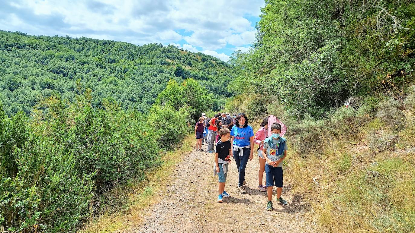 La Asociación Benéfico Cultural de Nieva de Cameros y la Asociación por el Medio Ambiente Rural en La Rioja han celebrado dos jornadas con el título 'Conociendo las mariposas'. Primero se celebró una en la aldea Montemediano, donde se lograron identificar fácilmente diecinueve especies el pasado 18 de julio, y después, el domingo 1 de agosto, se catalogaron una veintena de mariposas en Nieva, algunas tan singulares como la tigre.