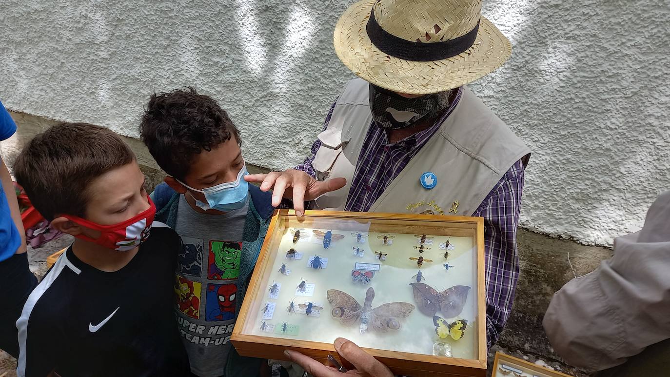 La Asociación Benéfico Cultural de Nieva de Cameros y la Asociación por el Medio Ambiente Rural en La Rioja han celebrado dos jornadas con el título 'Conociendo las mariposas'. Primero se celebró una en la aldea Montemediano, donde se lograron identificar fácilmente diecinueve especies el pasado 18 de julio, y después, el domingo 1 de agosto, se catalogaron una veintena de mariposas en Nieva, algunas tan singulares como la tigre.