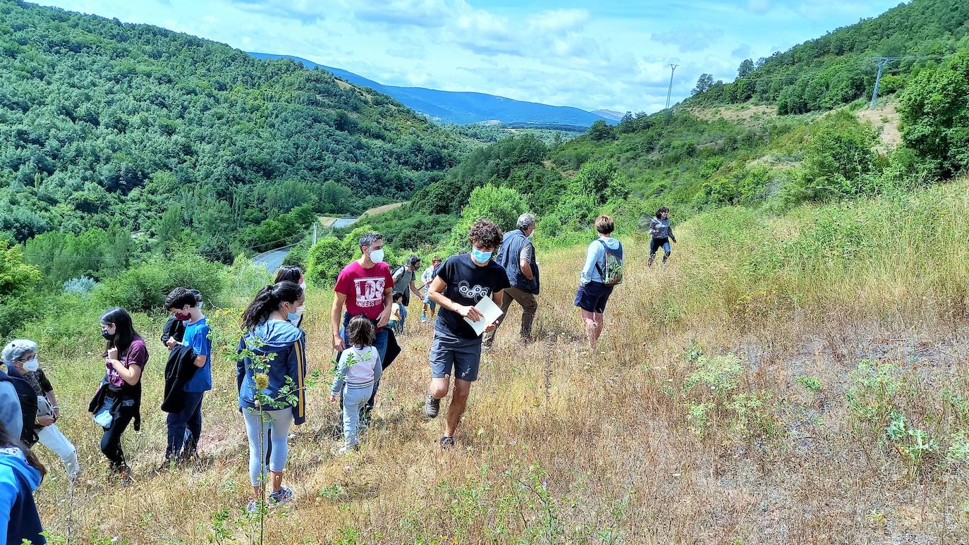 La Asociación Benéfico Cultural de Nieva de Cameros y la Asociación por el Medio Ambiente Rural en La Rioja han celebrado dos jornadas con el título 'Conociendo las mariposas'. Primero se celebró una en la aldea Montemediano, donde se lograron identificar fácilmente diecinueve especies el pasado 18 de julio, y después, el domingo 1 de agosto, se catalogaron una veintena de mariposas en Nieva, algunas tan singulares como la tigre.