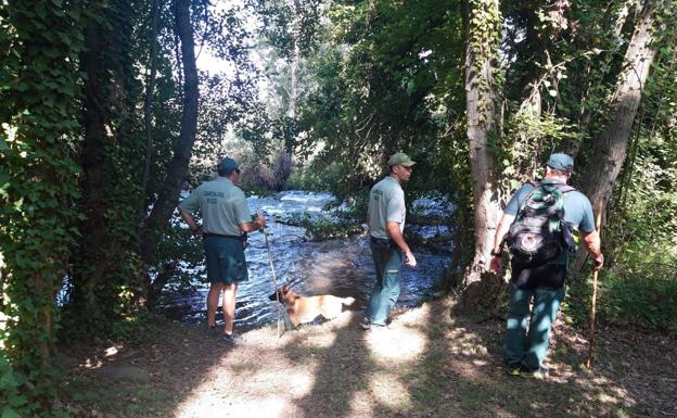 Imagen principal - Sigue la búsqueda del joven de Entrena por Sierra de Moncalvillo, Valle del Iregua, Río Iregua, toda la comarca de Entrena y localidades limítrofes