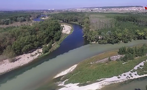 Los Sotos de Alfaro: un singular ecosistema de bosques y aves a orillas del río