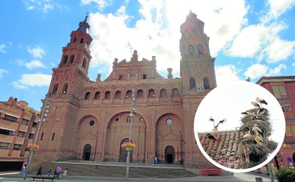 Monumental. La colegiata de San Miguel aúna su atractivo histórico y religioso con el de la colonia de cigüeñas en sus cubiertas.