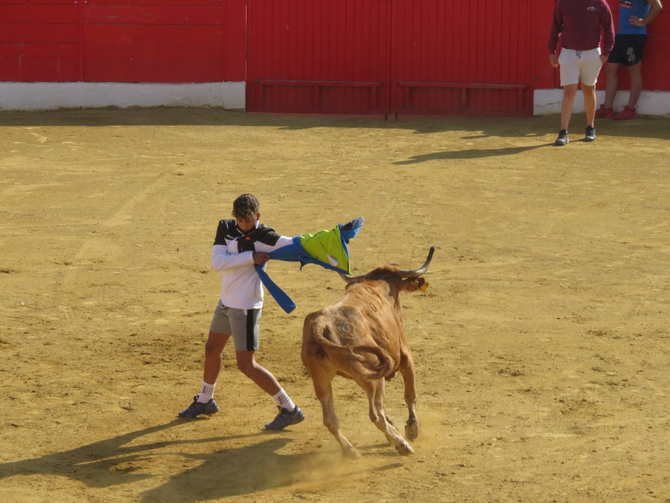 Fotos: Penúltimo día de la programación cultural &#039;Vive Alfaro&#039;