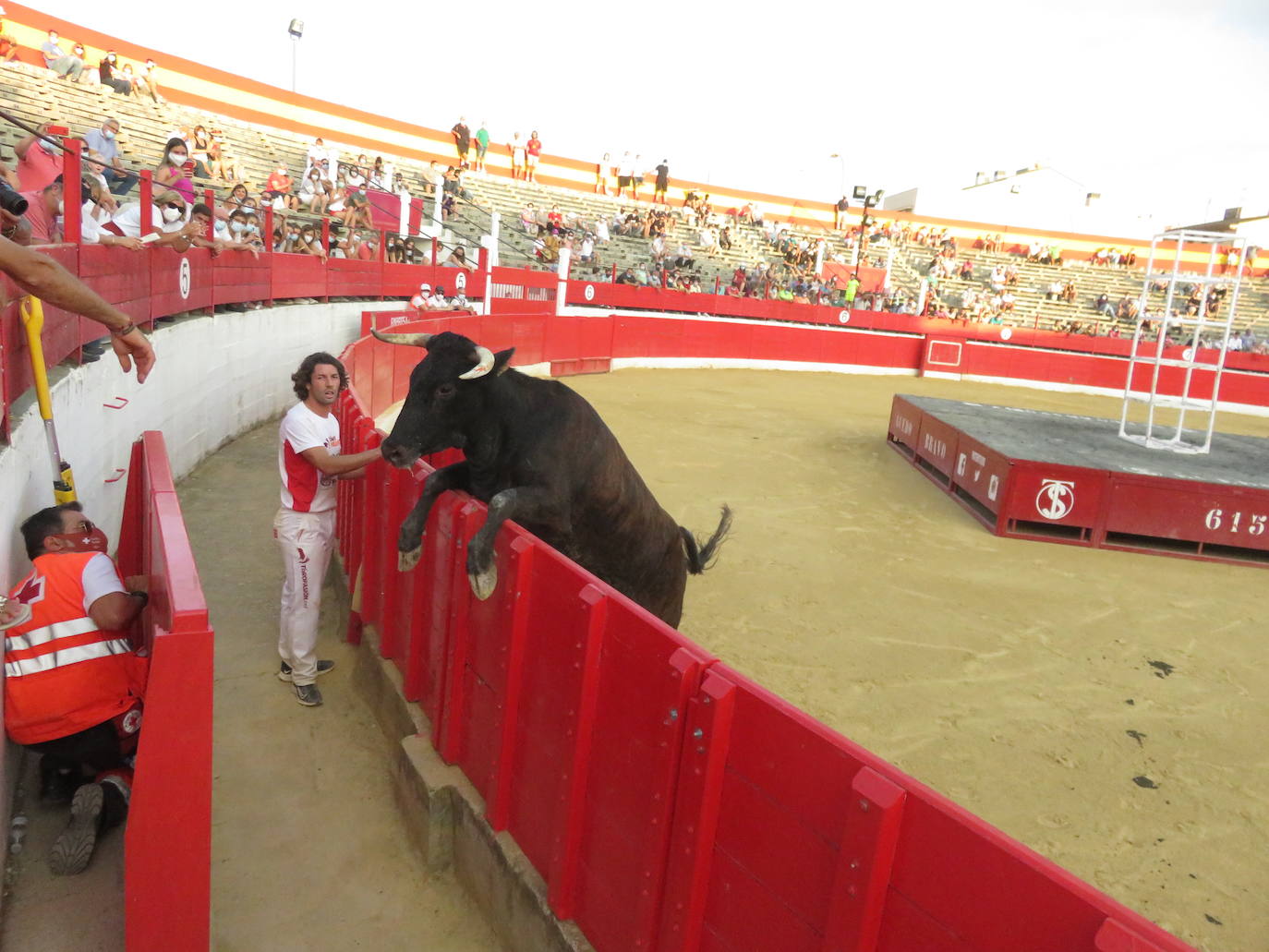 Fotos: La exhibición de bravura de las reses de Arriazu en la plaza de toros de Alfaro