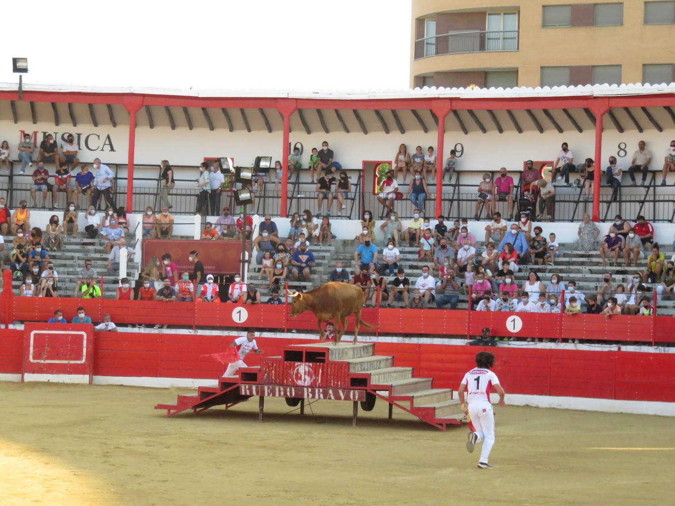 Fotos: La exhibición de bravura de las reses de Arriazu en la plaza de toros de Alfaro