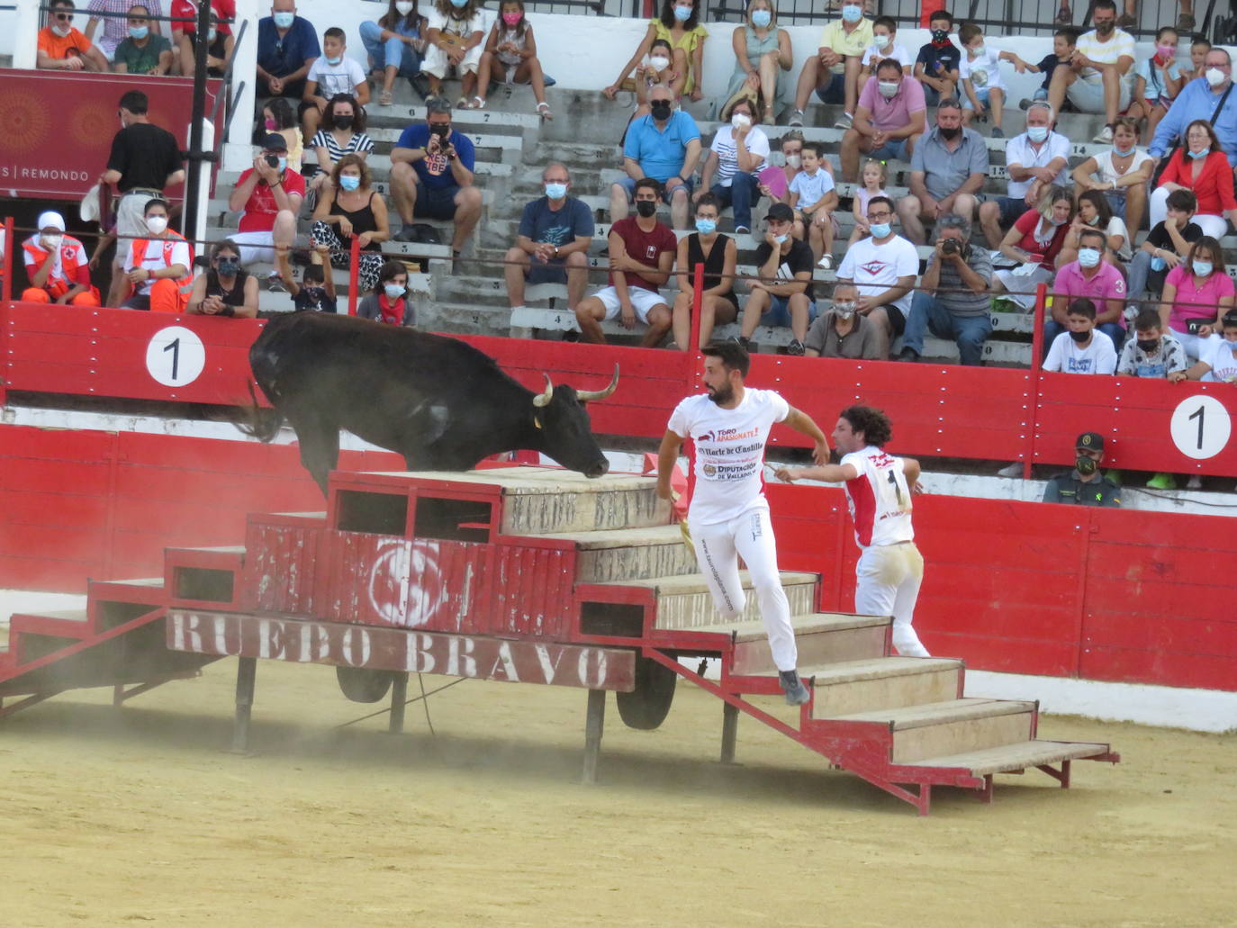 Fotos: La exhibición de bravura de las reses de Arriazu en la plaza de toros de Alfaro