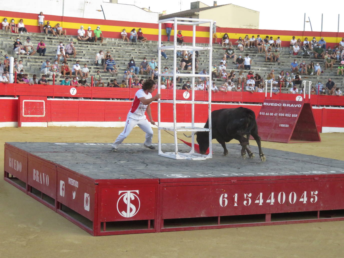 Fotos: La exhibición de bravura de las reses de Arriazu en la plaza de toros de Alfaro