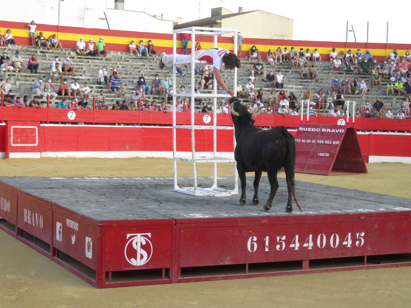 Fotos: La exhibición de bravura de las reses de Arriazu en la plaza de toros de Alfaro