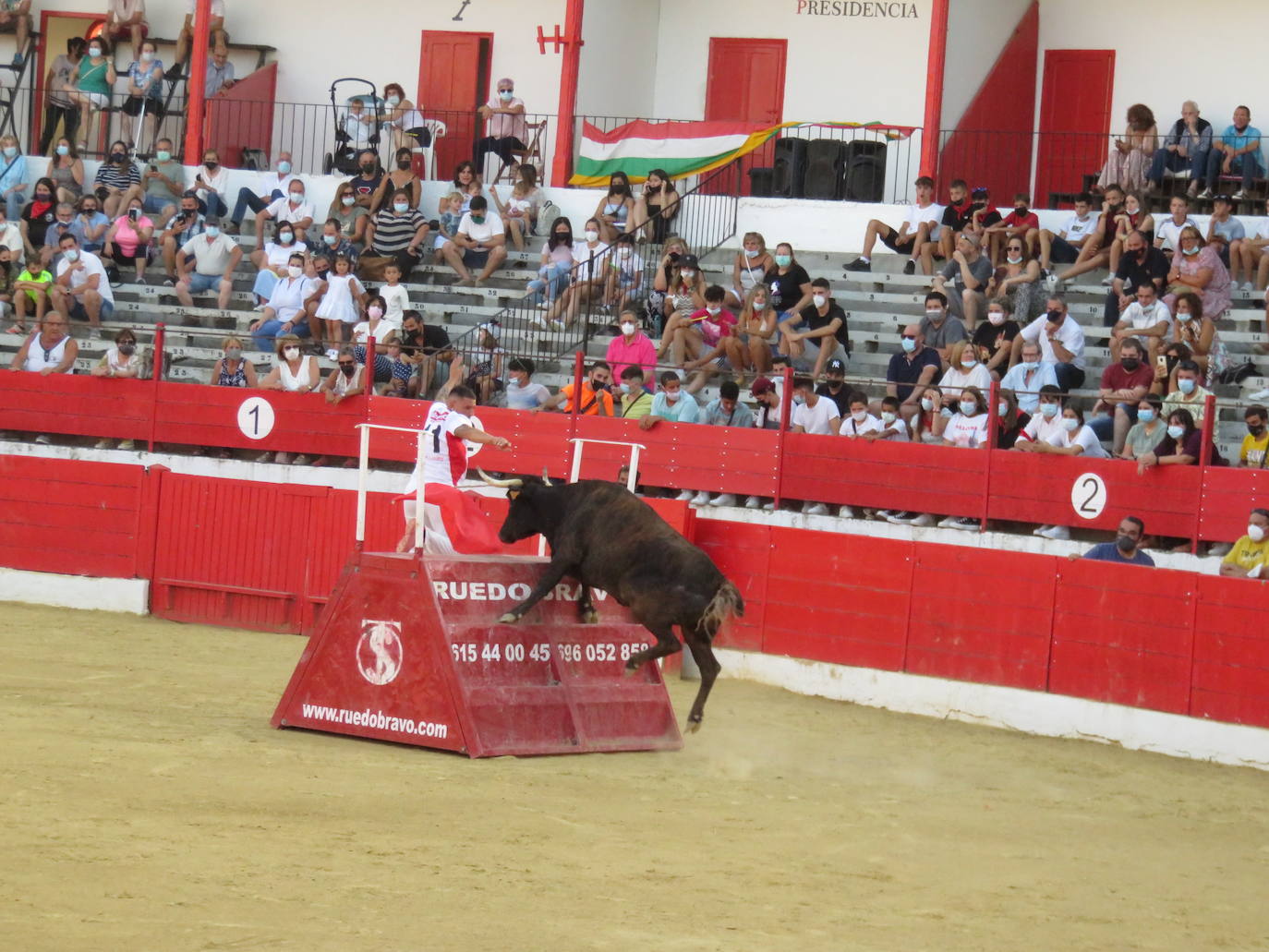 Fotos: La exhibición de bravura de las reses de Arriazu en la plaza de toros de Alfaro