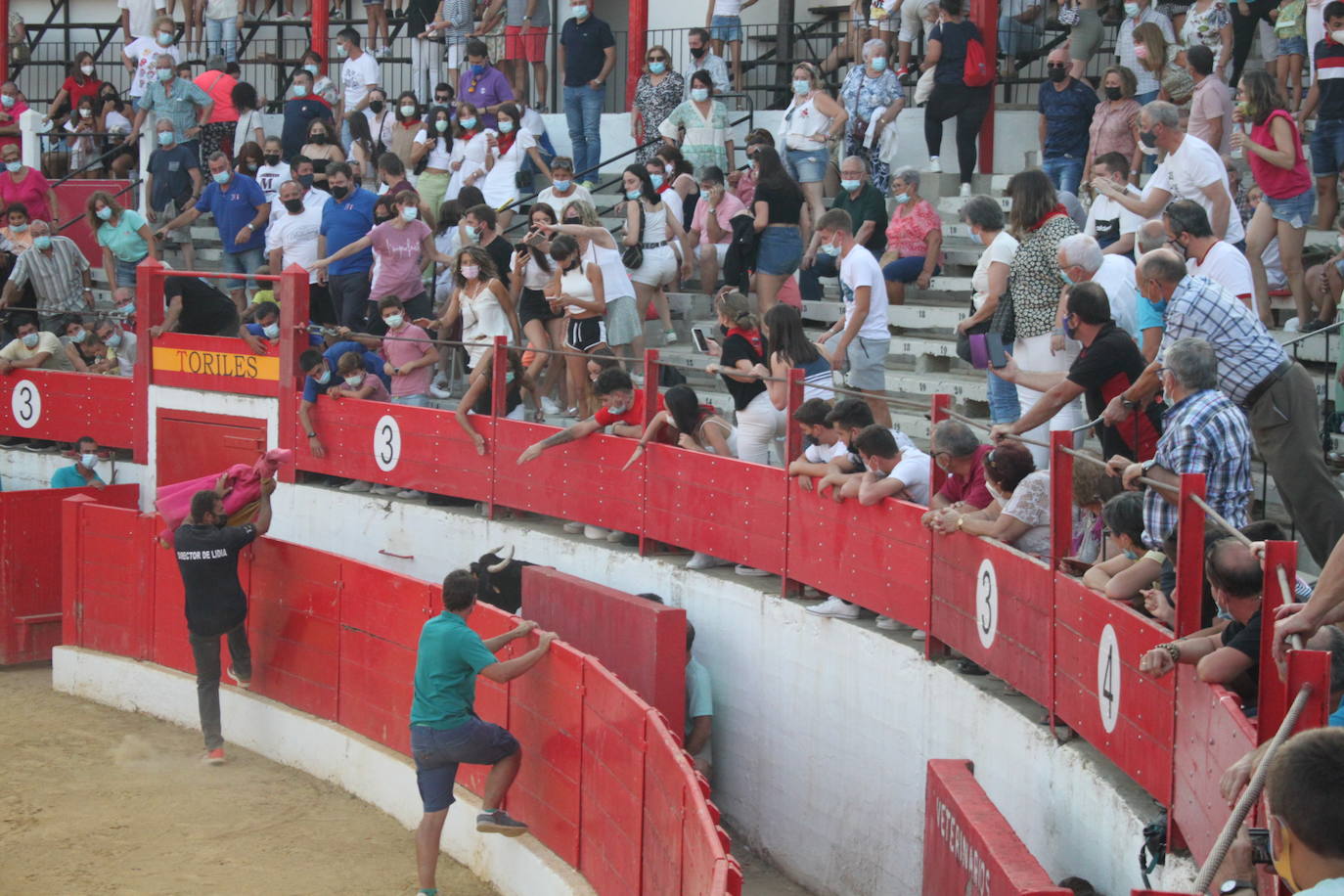 Fotos: La exhibición de bravura de las reses de Arriazu en la plaza de toros de Alfaro