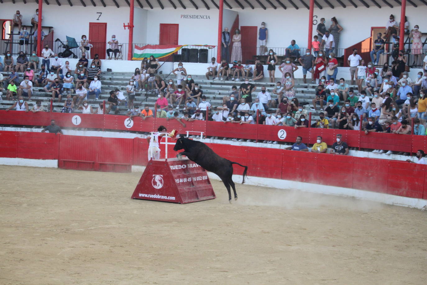 Fotos: La exhibición de bravura de las reses de Arriazu en la plaza de toros de Alfaro